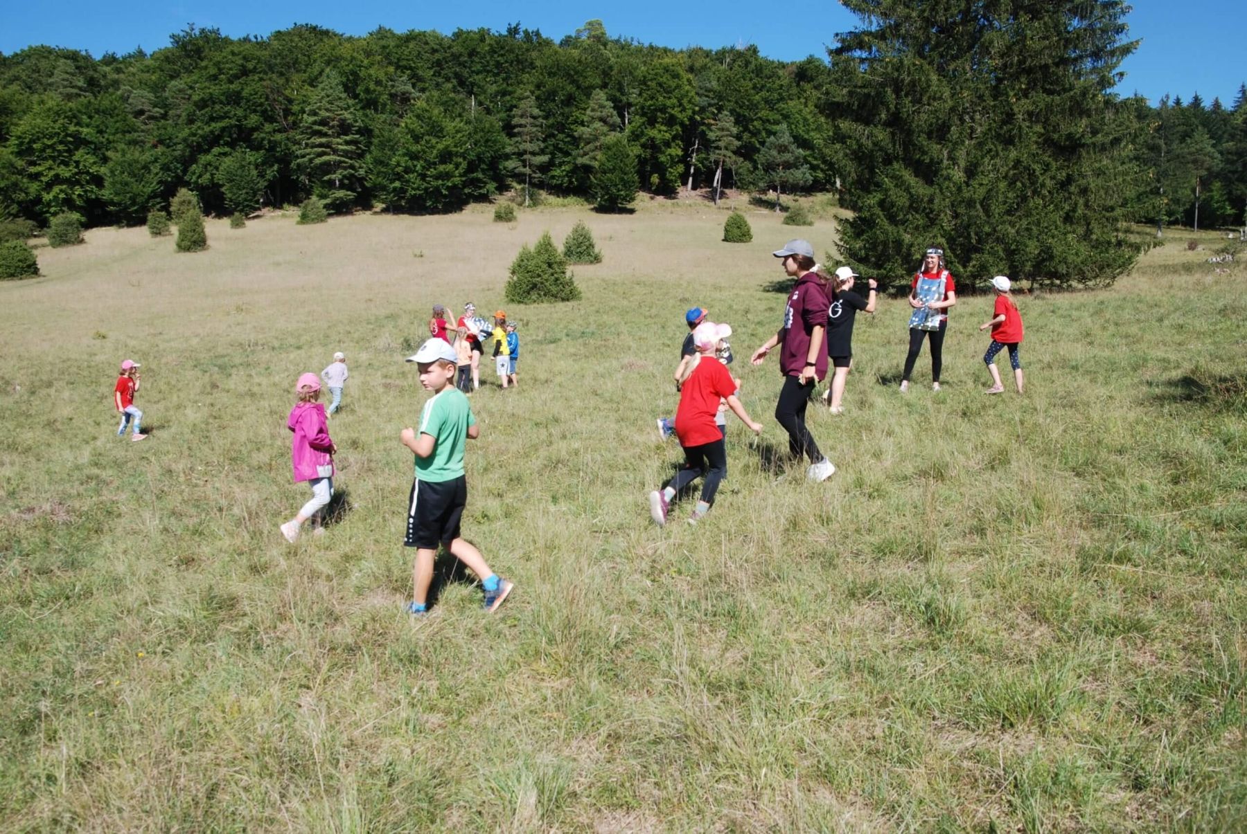Kinder und Betreuerinnen laufen über eine weite, offene Wiese und spielen im Grünen.