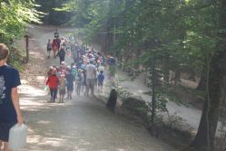 Eine große Gruppe Kinder wandert in einem langen Zug über einen Waldweg bergab.